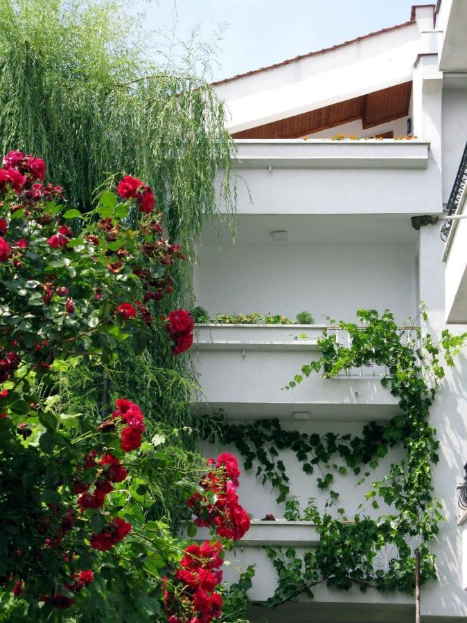 Guest House Barbov Obzor Exterior photo