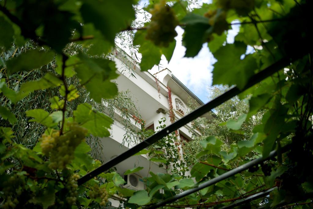 Guest House Barbov Obzor Exterior photo