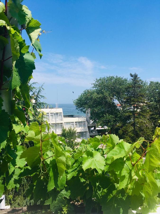 Guest House Barbov Obzor Exterior photo