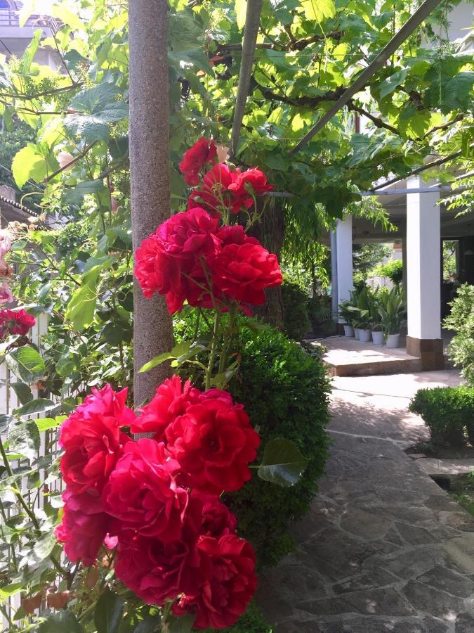 Guest House Barbov Obzor Exterior photo