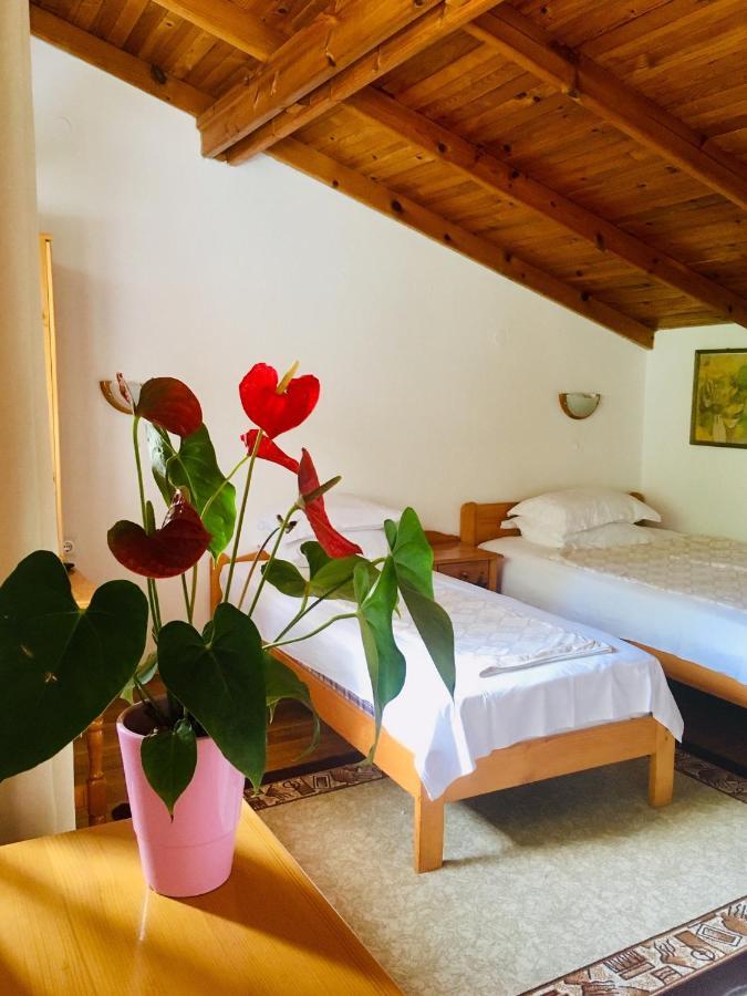 Guest House Barbov Obzor Exterior photo